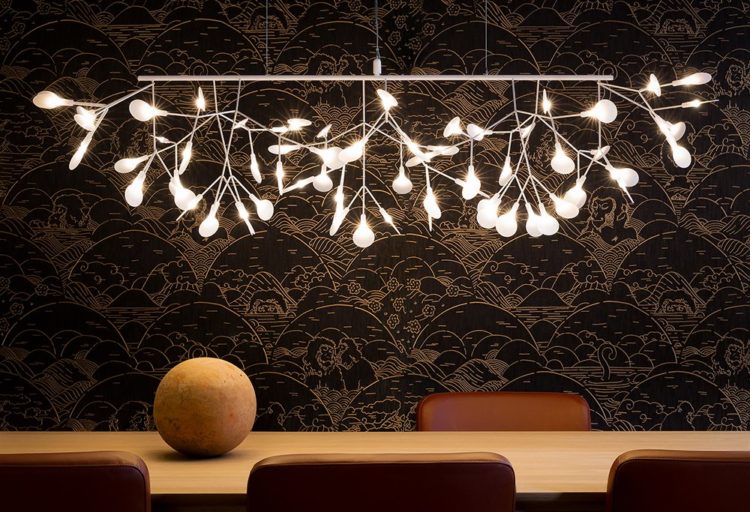 Heracleum III Linear