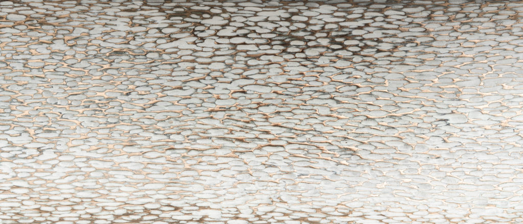 detail of light underside with white/bronze patina