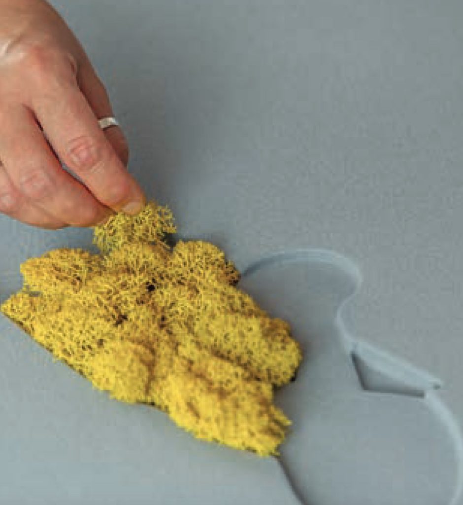 Close-up view of flocking technique