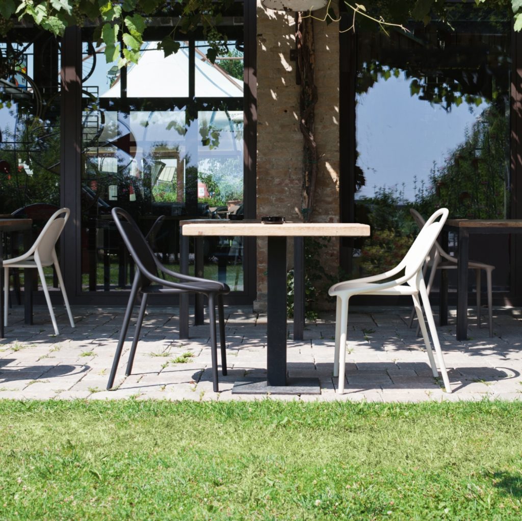 Black and white Quittlet in outdoor setting