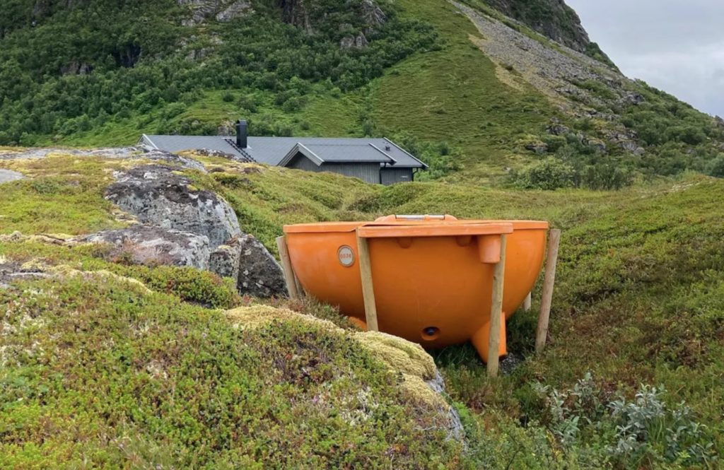 orange in summer mountain scene