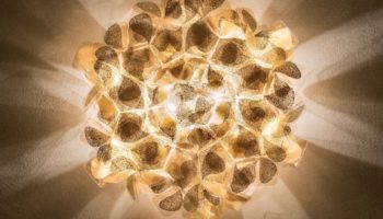 Sunflower in the Dark: Clizia Mama non Mama