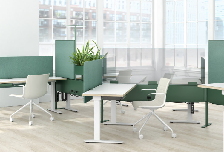 Edison rail system white desks with green privacy panels