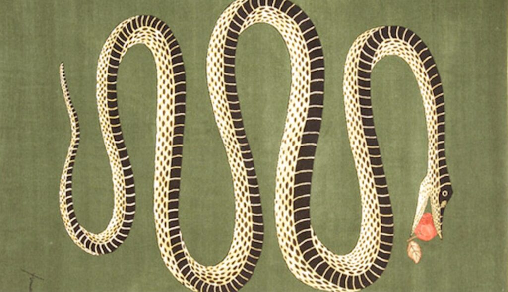 rug displaying serpent with apple on green background
