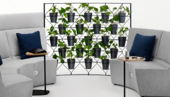 Go Biophilic with Darran's Bota Lounge