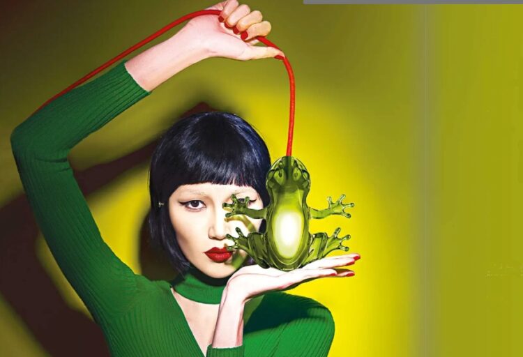 green frog lamp