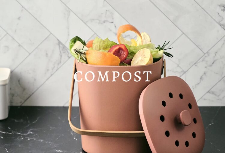 Bamboozle in terra cotta filled with scraps