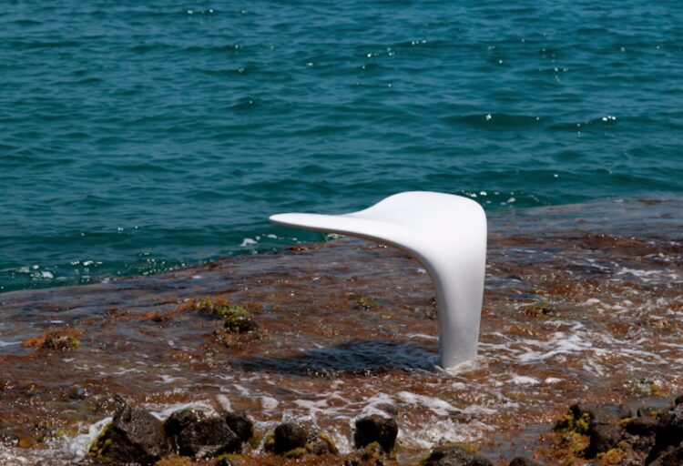 Whale Tail in white in water on rocky coast