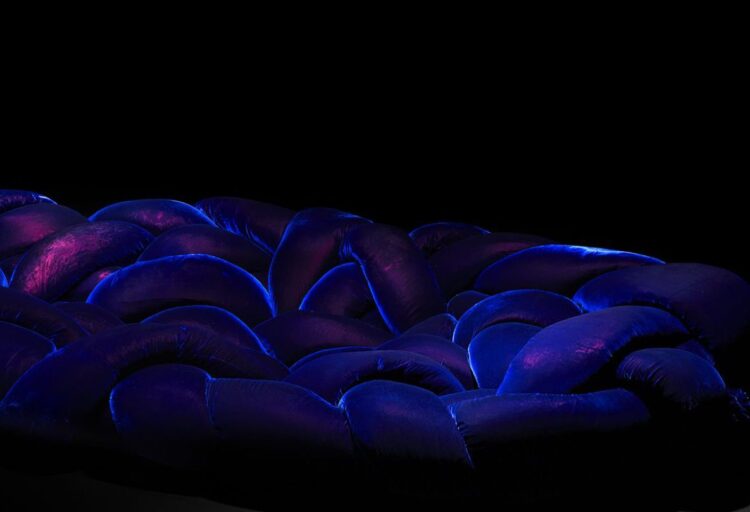 Boa Sofa by Edra