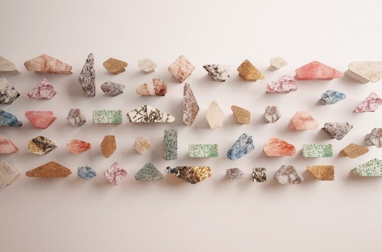 Shell homage wall hooks
