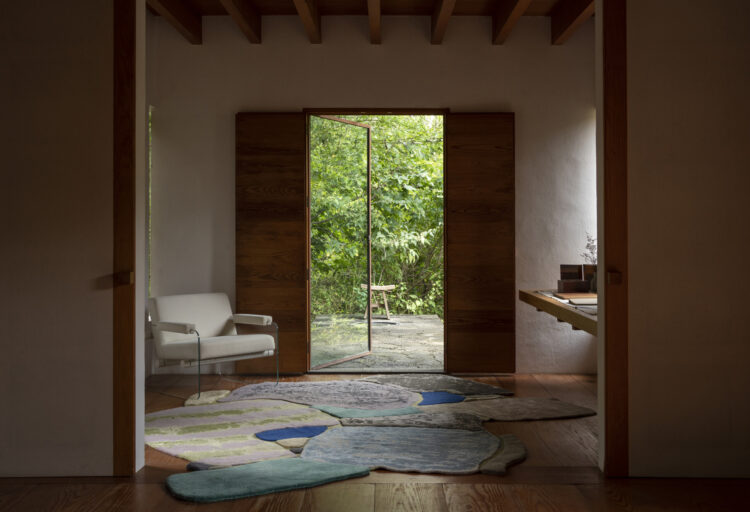 Corazones area rug