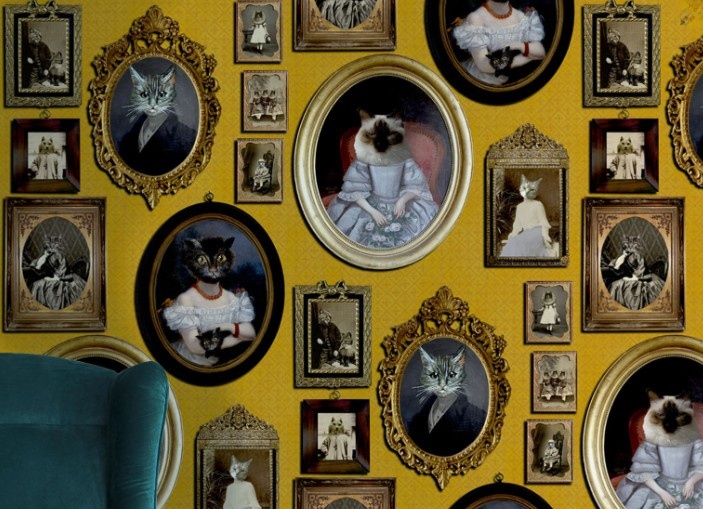 cat wallpaper mustard
