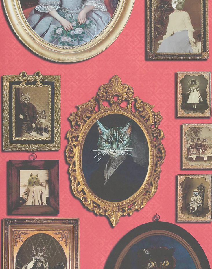 cat wallpaper red