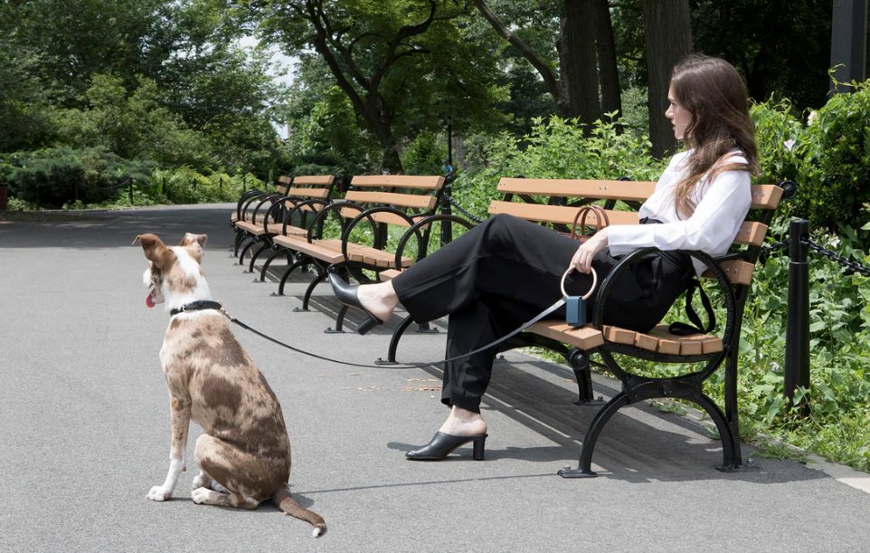 Lumi Leash with dog outside