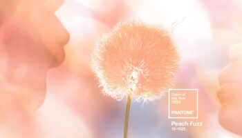 Peach Fuzz: Pantone Color of the Year 2024