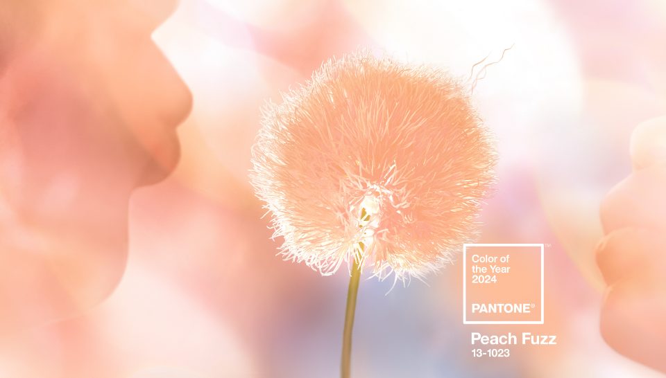 Peach Fuzz: Pantone Color of the Year 2024