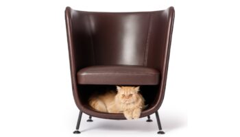 Pocket Chair by The Cat Design