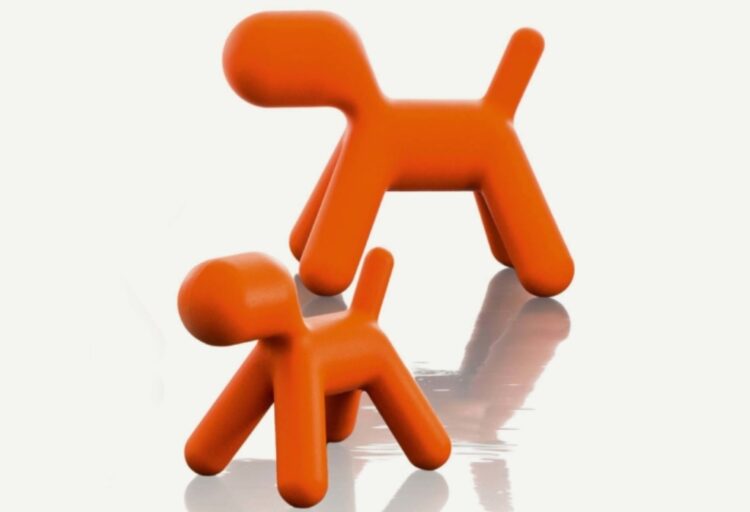 Puppy orange