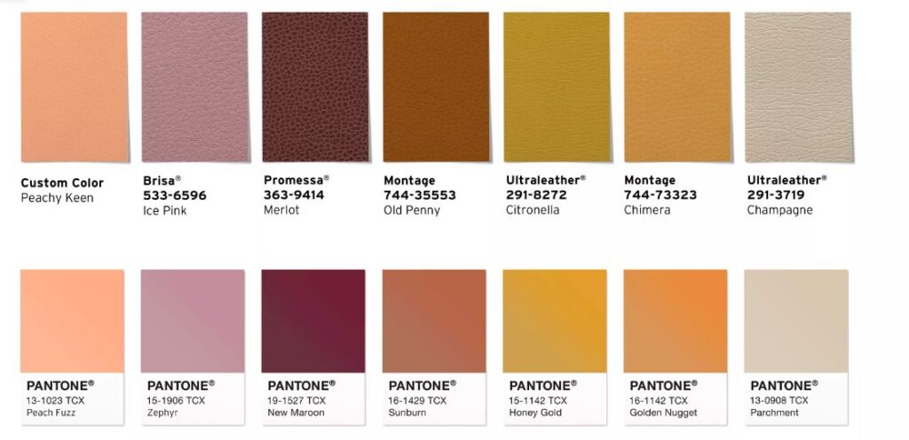 The color spectrum of Sanctuary Palette
