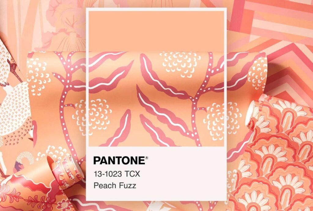 Spoonflower x Pantone Peach Fuzz Collab Spoonflower x Pantone Peach Fuzz Collab