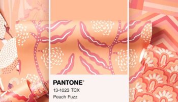Spoonflower x Pantone Peach Fuzz Collab