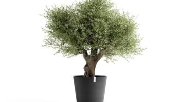 Amsterdam 70 Planter by Ecopots