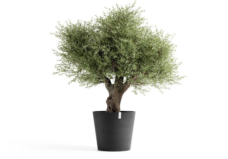 Amsterdam 70 Planter by Ecopots Amsterdam 70 Planter by Ecopots