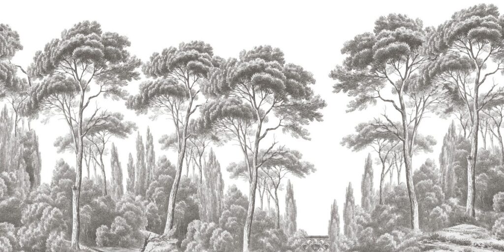 Pins et cyprès (Pines & Cypress) Wallpaper From Ananbô Pins et cyprès (Pines & Cypress) Wallpaper From Ananbô