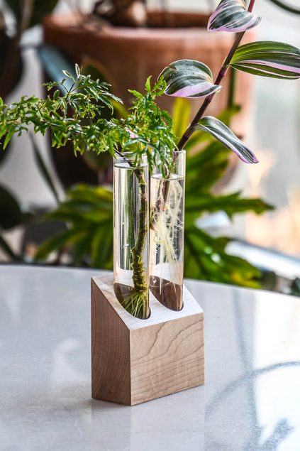 A plant cradle by Hilton Carter