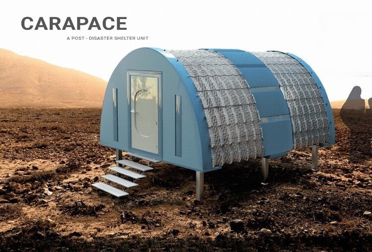 Carapace