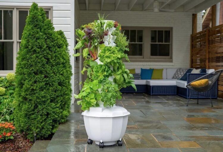 Grow Tower outdoors