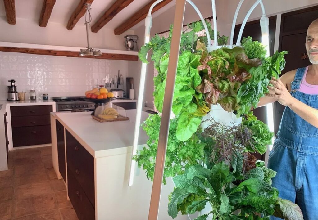 Grow Tower Garden in kitchen with man