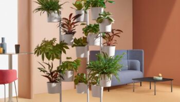 Women Designers: Victoria Azadinho Bocconi Creates Hevea for Pedrali