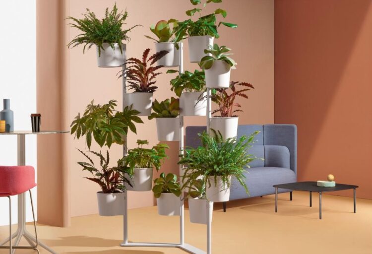 Hevea partition