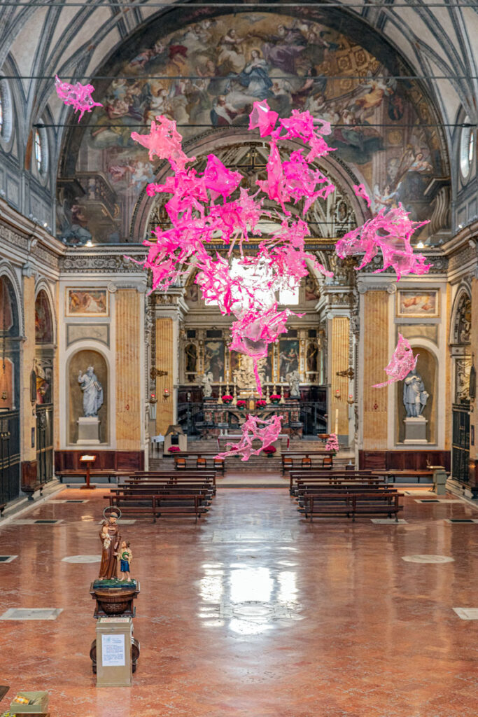 Installation image of Mutative Transitions