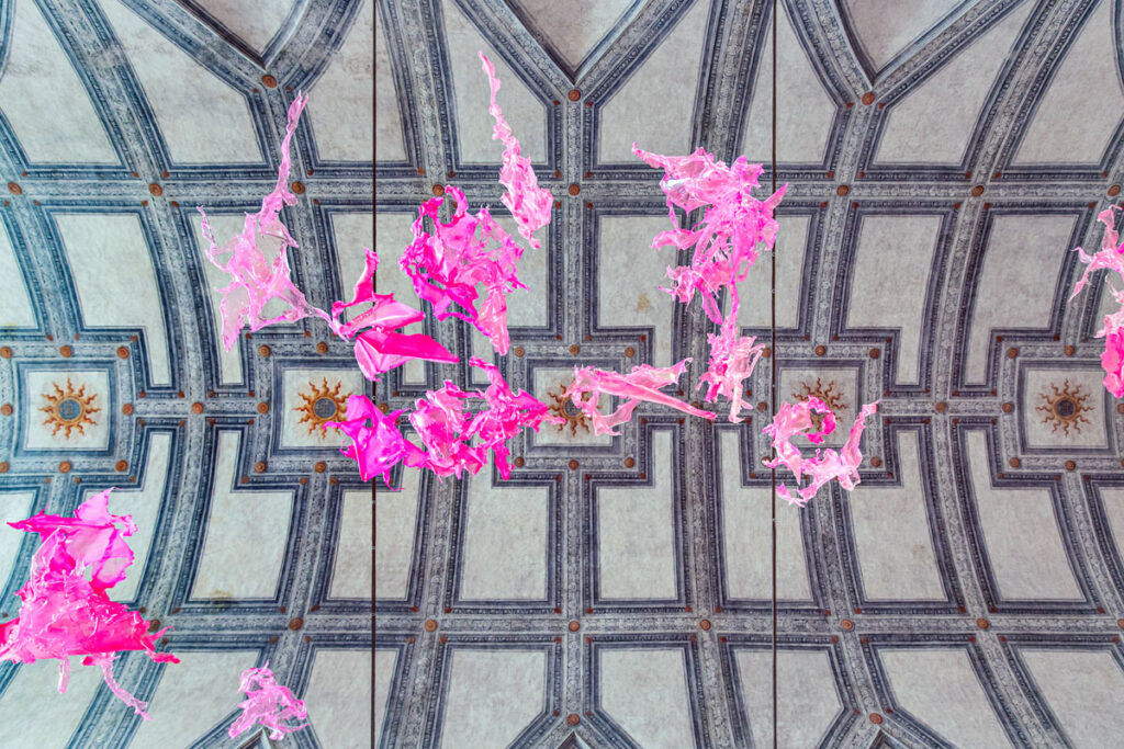 Installation image of Mutative Transitions