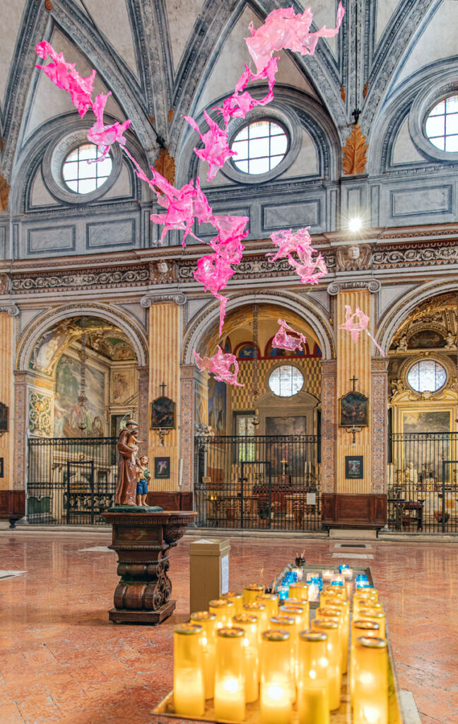 Installation image of Mutative Transitions