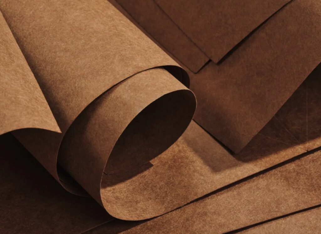Catifa Carta paper samples