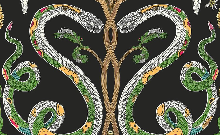 Snake Party 2.0 in Midnight