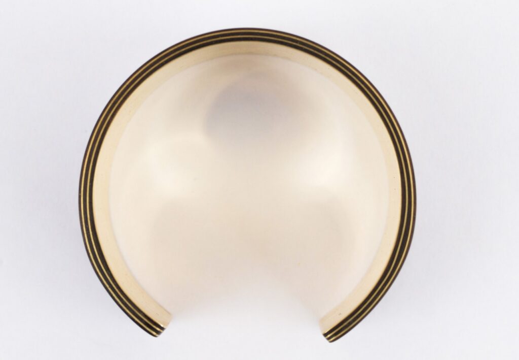Overhead view of Ebony/Macassar ring