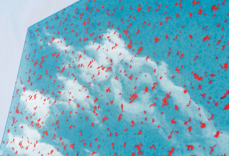 Polygood coral blue with red specks