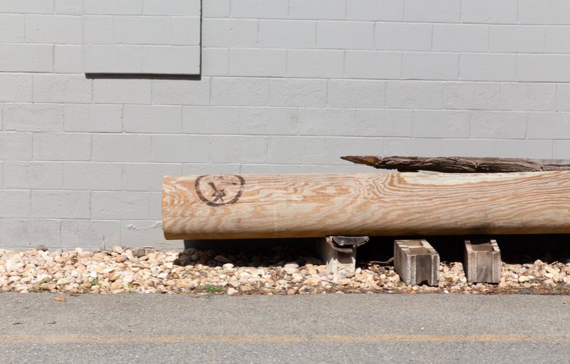 Utility pole reclaimed by Uhuru