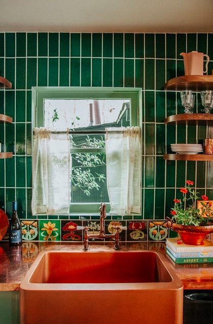 Evergreen in a kitchen setting
