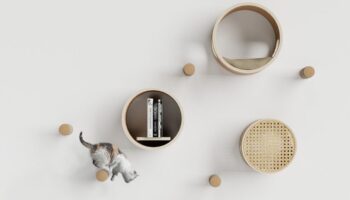 Meow Modules: Bubbles by Ricardo Sá