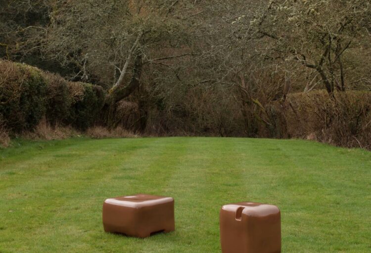 Cobble in brown in vast field