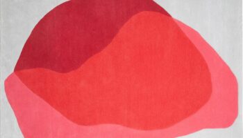 5 Red Rugs to Love!