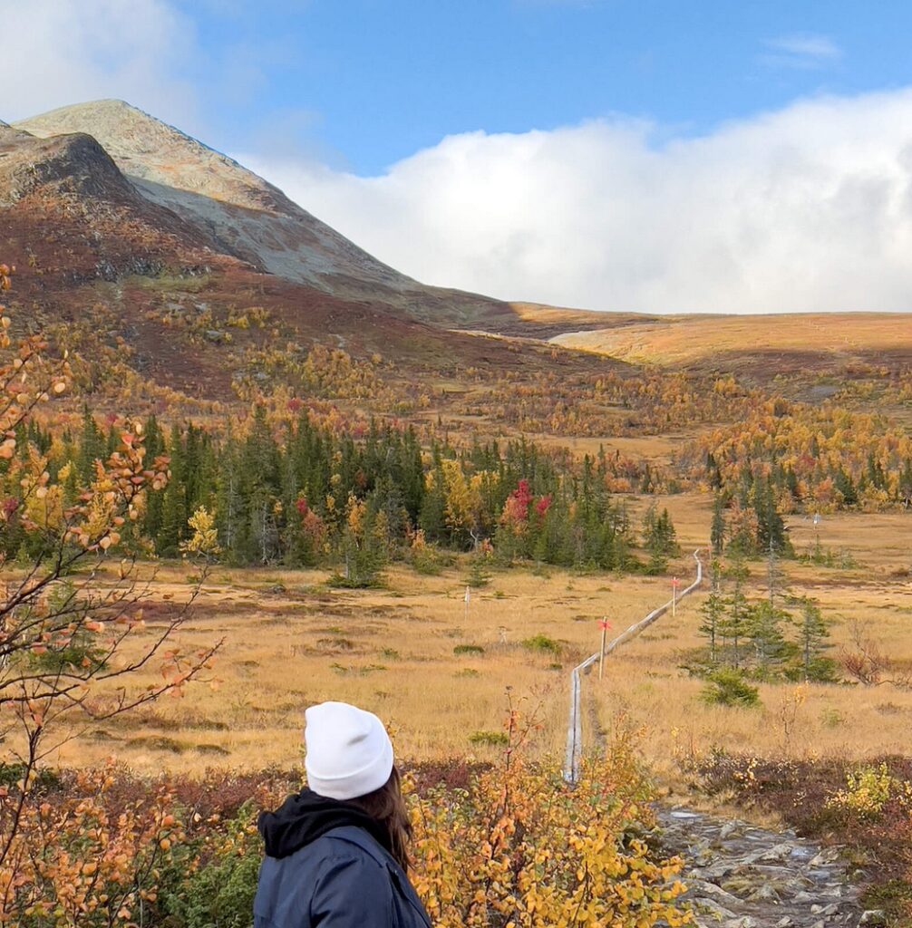 Landscape scene North Sweden
