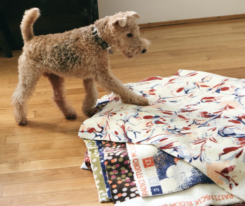 Dog with swatches