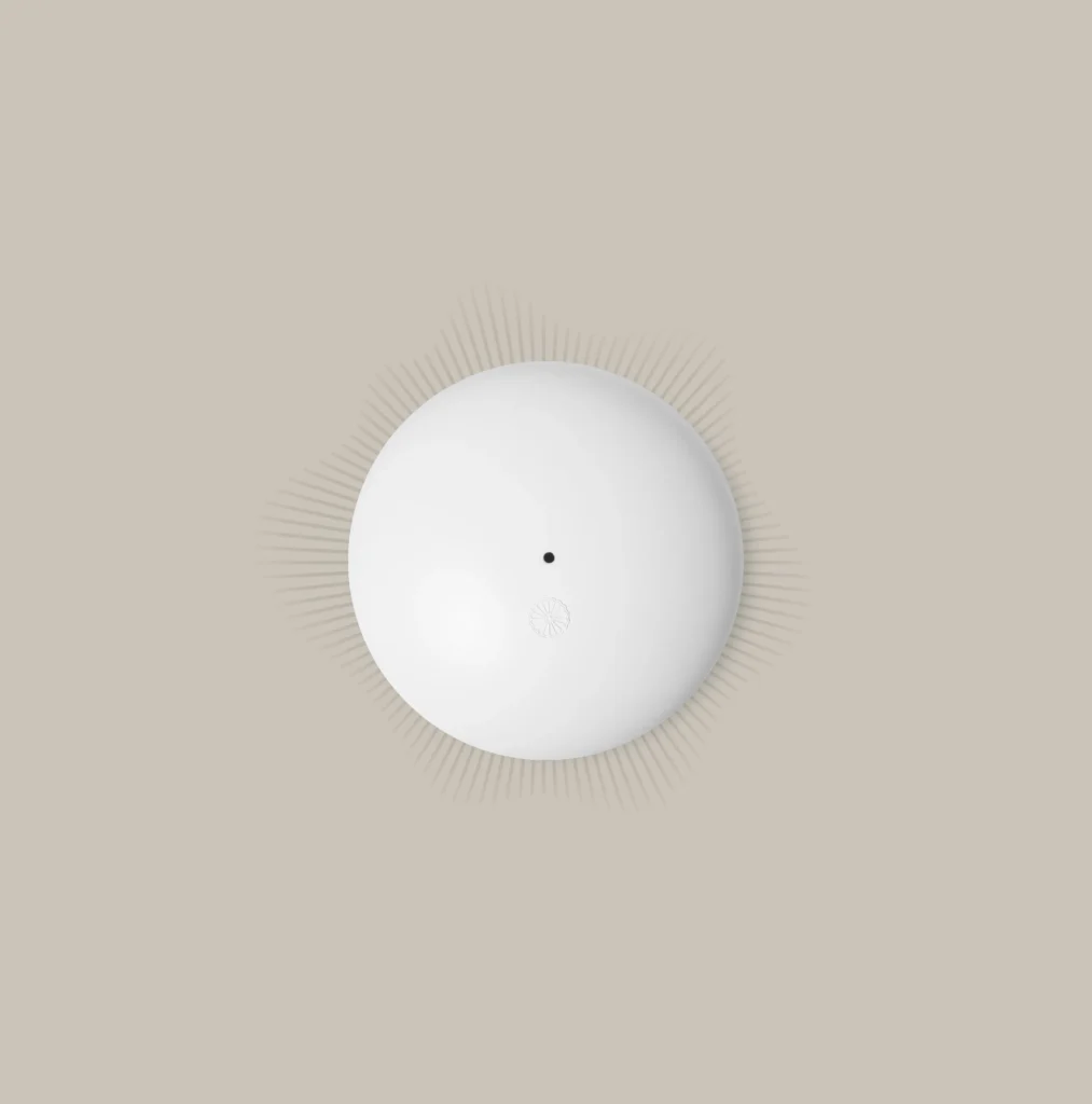 Living Pebble