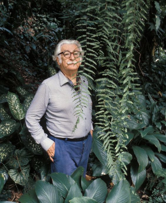 Roberto Burle Marx portrait